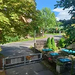 U Zeleneho Stromu - Zum Gruenen Baum فندق هرينسكو