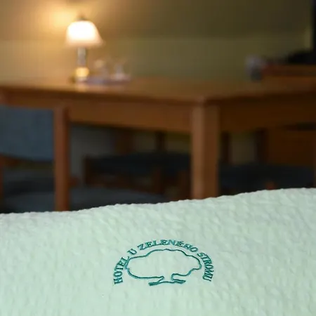 U Zeleneho Stromu - Zum Gruenen Baum Hotel Hrensko