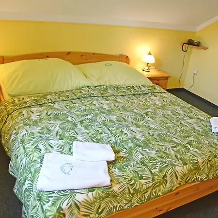 Hotel U Zeleného Stromu - Zum Grünen Baum 3*